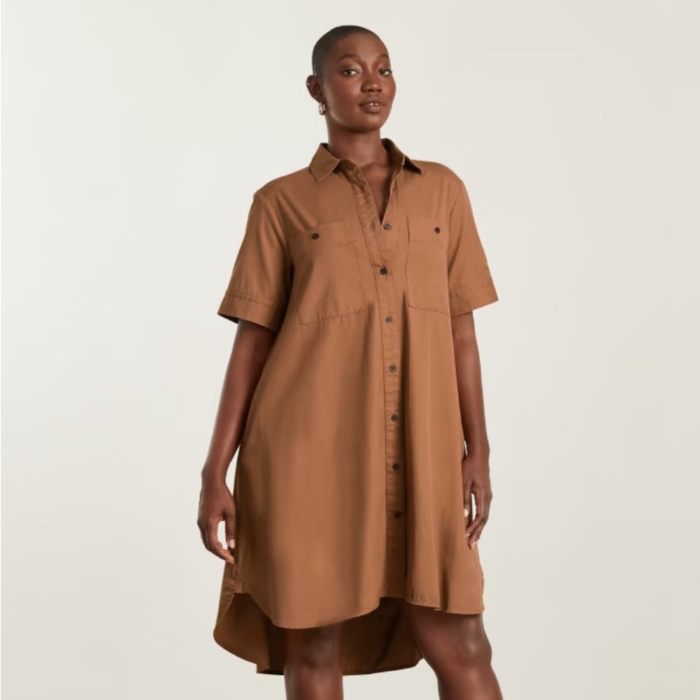 Everlane Daytripper Shirtdress